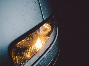 A fényszórók egyedfejlődése